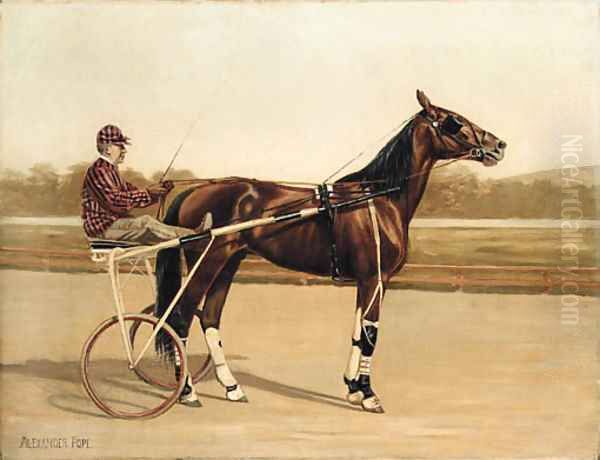 Major Delmar, a Trotter, on a racecourse - view 1