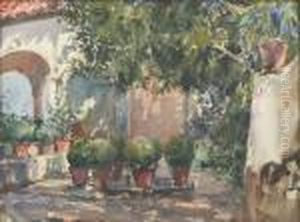 Vue D'un Patio Arboree Avec Un Portique Au Fond A Gauche