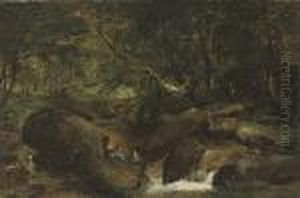 The Surging Torrent