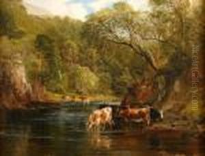 Watering In The River Awe