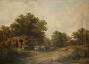 Cattle By A Bivouac