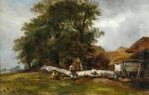 Resting On A Fallen Tree By The Farmyard