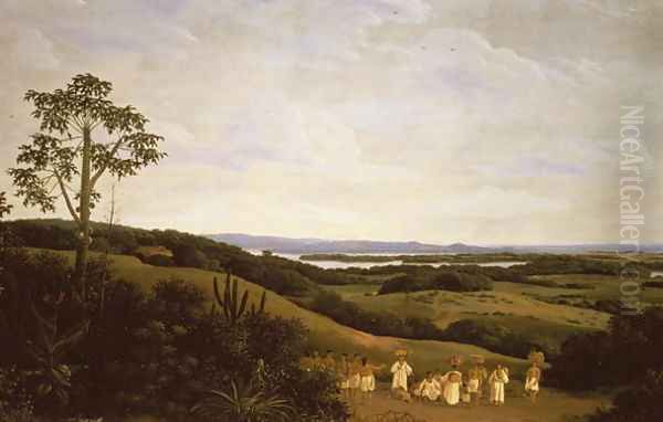 Panoramic View in Brazil with a River in the Distance - view 1