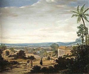 A Brazilian Landscape