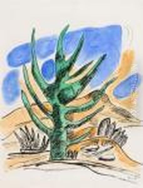 Cactus. - view 1