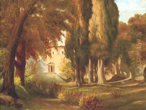View of a garden