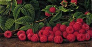 Raspberries Raspberries