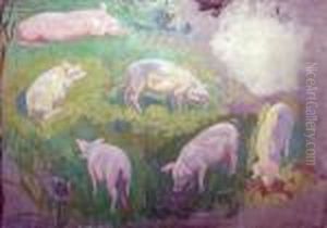 Etude De Cochon