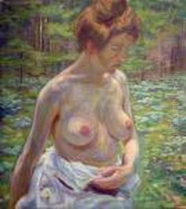 Nu De Femme Dans Les Bois