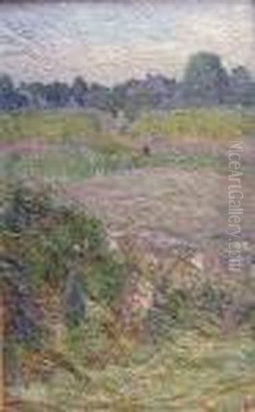 Dans Les Champs - view 1