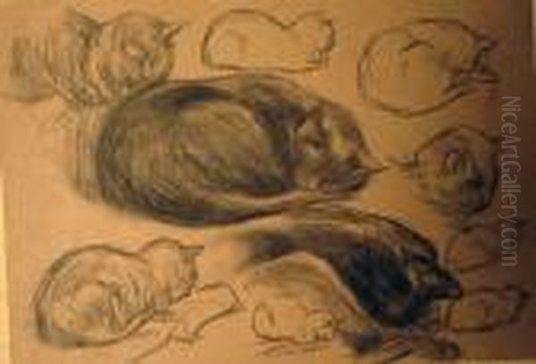 Lot De 7 Dessins - view 1
