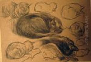 Lot De 7 Dessins