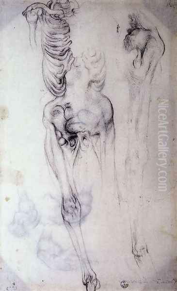 Anatomical - view 1
