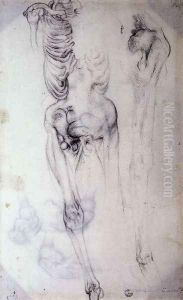 Anatomical by (Jacopo Carucci) Pontormo