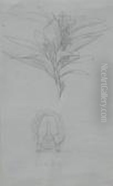 Baby - view 1