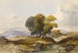 Landscape Landscape