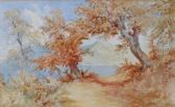Trees On A Mountain Path With Lake Viewbeyond - view 1