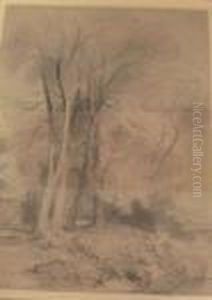 Woodland Landscape Woodland Landscape