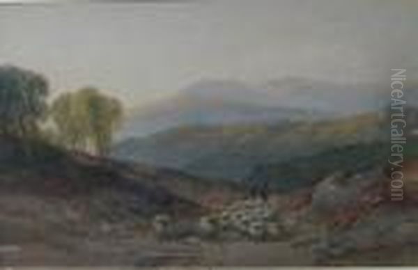 A Shepherd With His Flock At Sunset - view 1