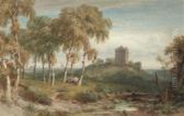 The Birks Of Invermay - view 1