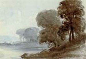 Trees On The Water's Edge Trees On The Water's Edge