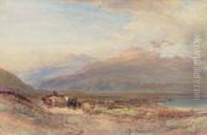 Droving Cattle In The Scottish Highlands
