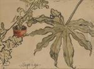 Esquisses Defleurs by Georges Lemmen
