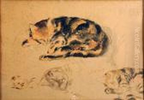 Le Chat - view 1