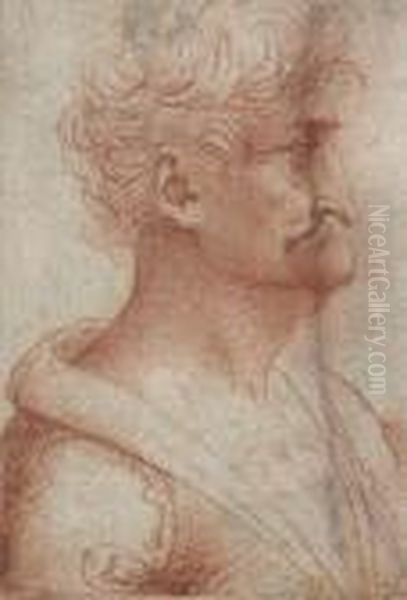 Profil D'homme - view 1
