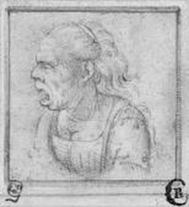 Caricature Of An Old Woman In Profile To The Left,bust-length
