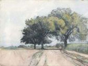 Champs Aux Trois Arbres, Crevecoeur,1912 by Auguste Lepere