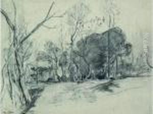 Les Arbres Tordus (vendee)