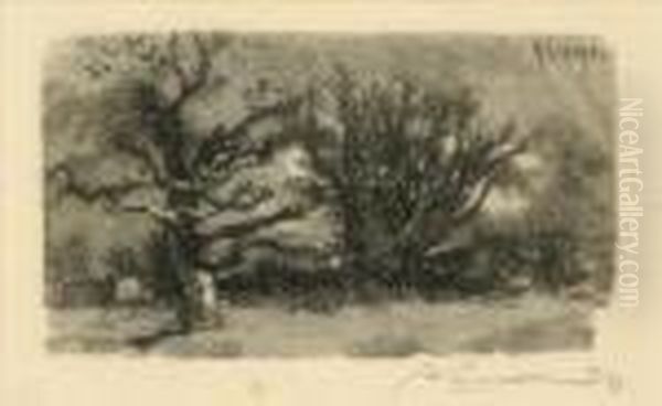 Trees In Winter - view 1