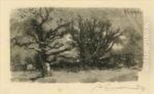 Trees In Winter