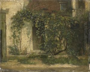 Vue D'un Mur De Maison Decore De Vigne
