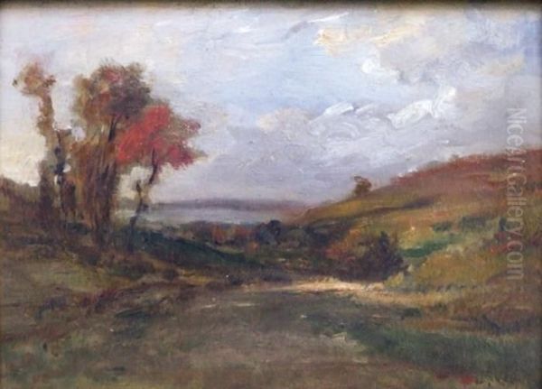 Paysage - view 1