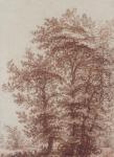 Group Of Trees - view 1