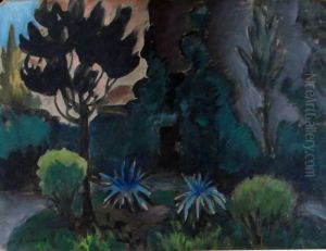 Le Jardin Dans L'ombre Le Jardin Dans L'ombre