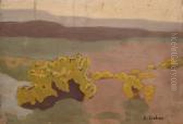 Genet - view 1