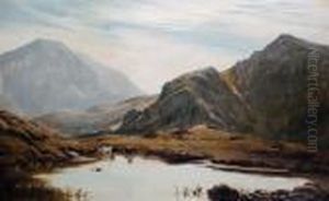 Mountain Lake Scene Mountain Lake Scene