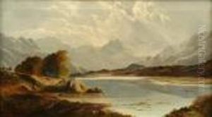 Extensive Landscape