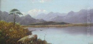 View Across A Loch