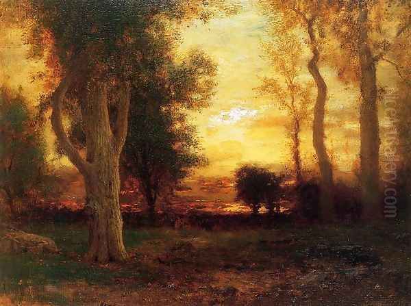 Evening in the Forest - view 1