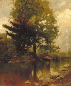Wooded Landscape
