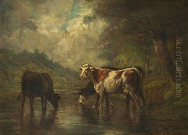 Vaches En Bord De Riviere. - view 1