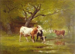 Vaches Au Bord De La Mare Vaches Au Bord De La Mare