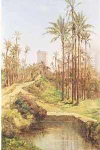 Marrakech, Dans La Palmeraie. Marrakech, Dans La Palmeraie.