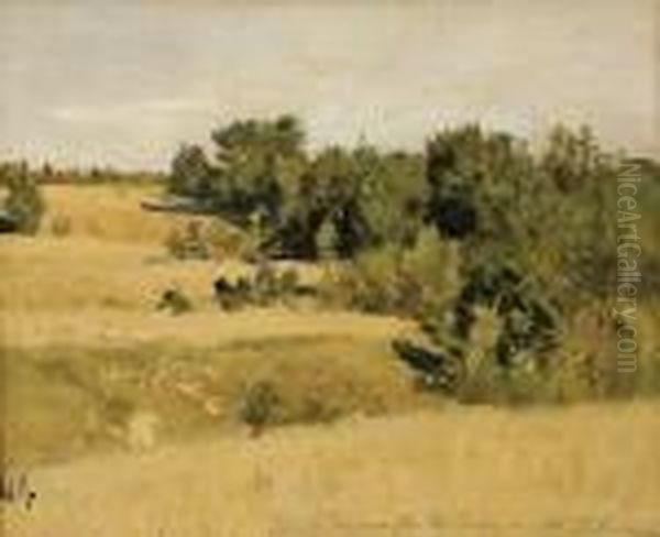 Summer Landscape - view 1