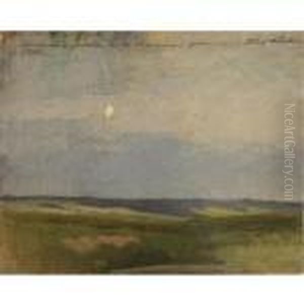Landscape - view 1