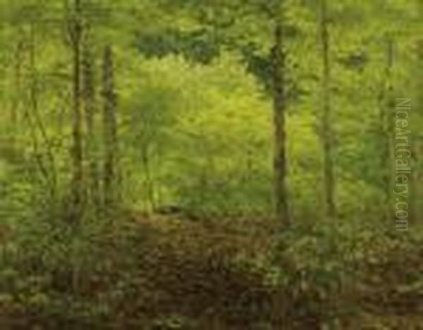 Forest Landscape - view 1